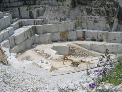 Carrara+Marble