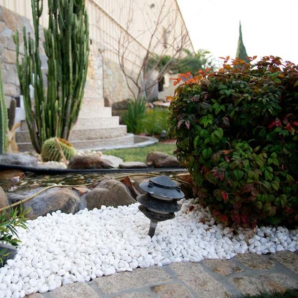 Himalaya White Pebbles White Pebbles Garden Cover With Cacti Msi 