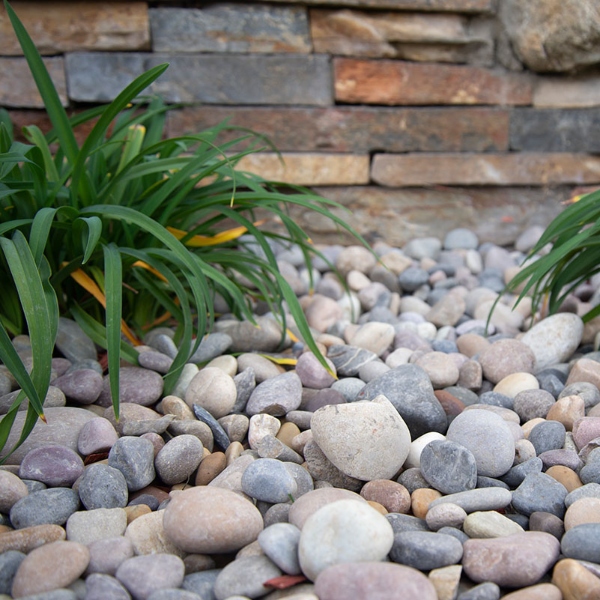 quartzite beach pebbles for landscaping