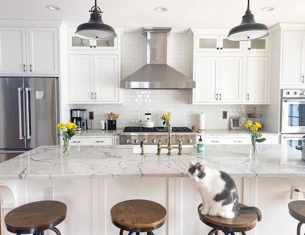marble veining quartz counter in white kitchen with cat