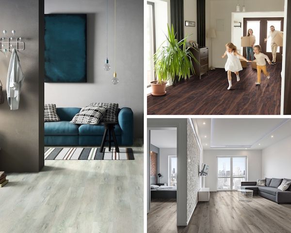 msi-featured-image-everlife-glue-down-vinyl-flooring-and-luxury-vinyl-plank-flooring