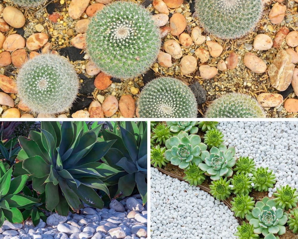 The Best Pebbles And Landscape Rocks For Your Succulent Garden