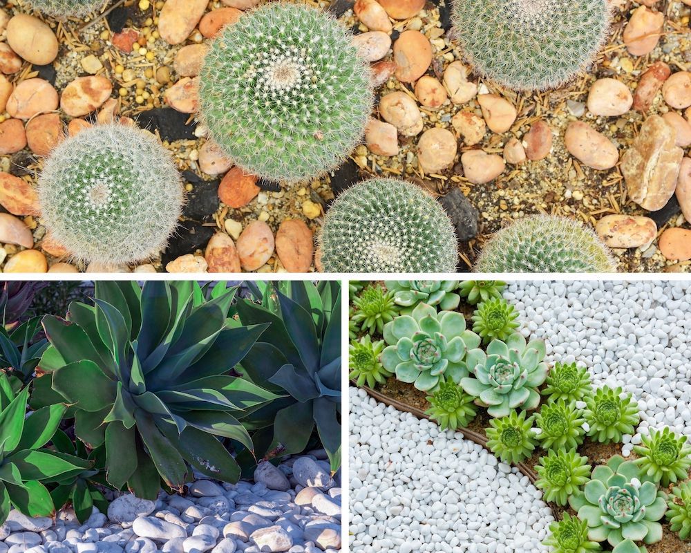 River Rock Is a Great Choice for the Ground Cover in Your