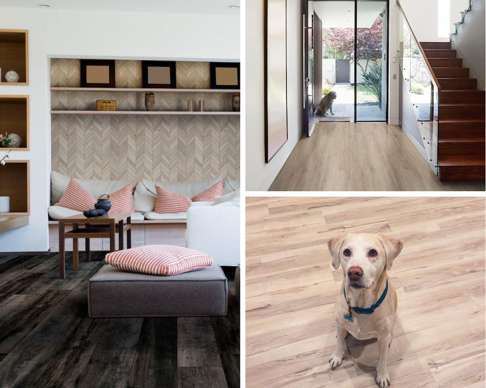 msi-featured-image-waterproof-and-pet-friendly-new-luxury-vinyl-flooring