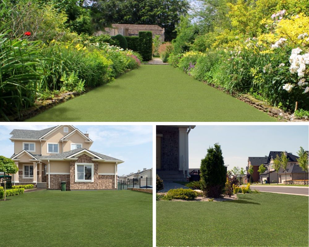 Everything You Need To Know About Artificial Turf