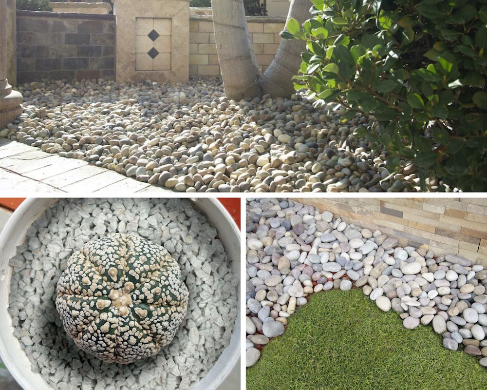msi-featured-image-pros-and-cons-of-using-garden-rock-in-flower-beds