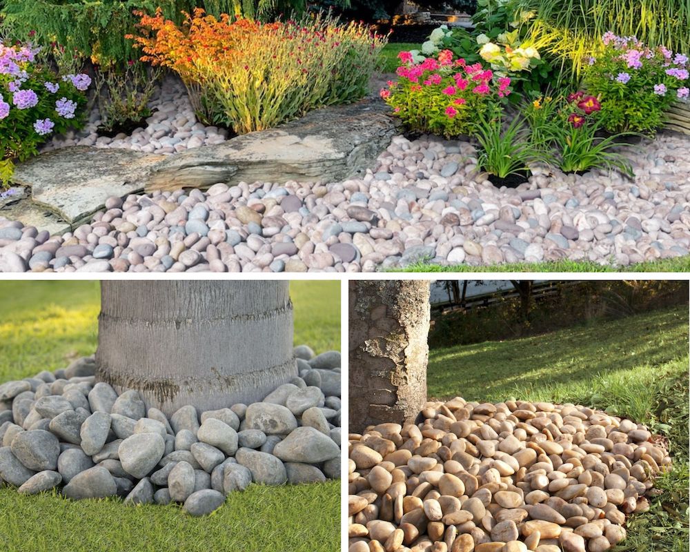 msi-featured-image-the-perfect-way-to-use-pebbles-for-ground-cover