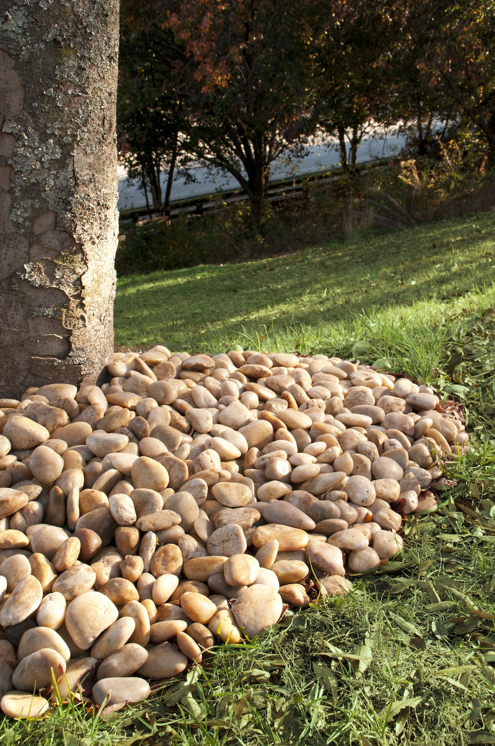 msi-yellow-polished-pebbles-min