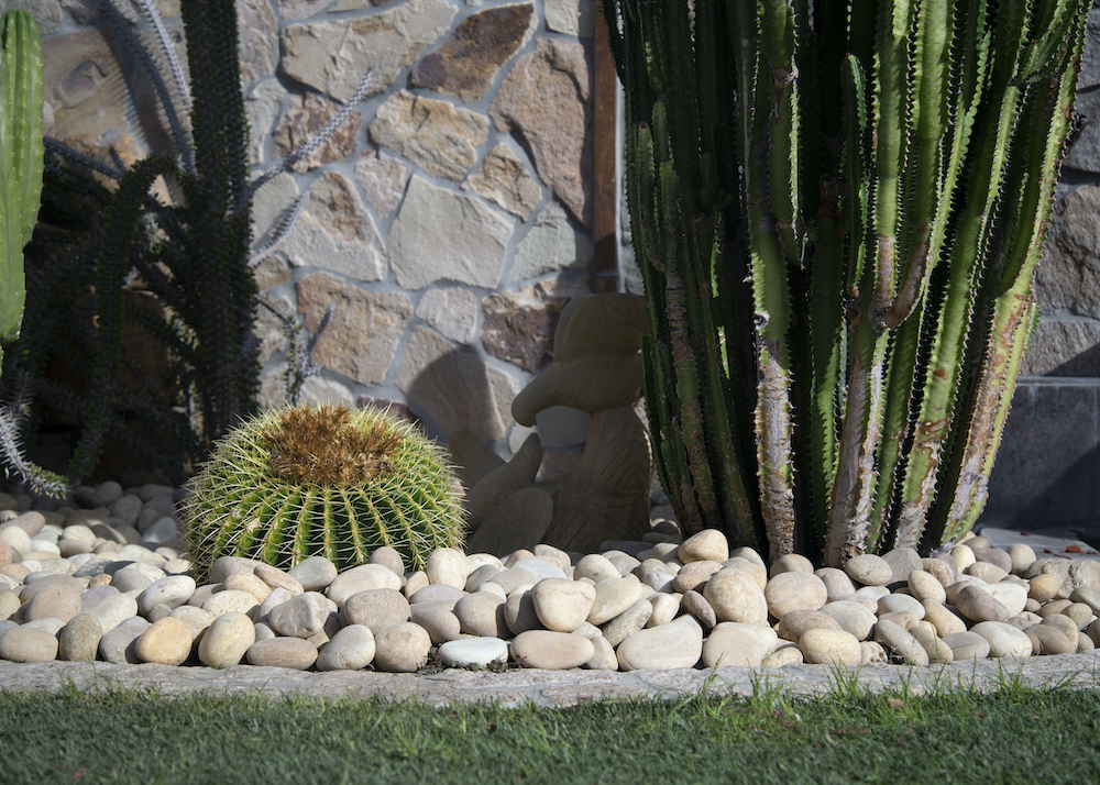 msi-niagara-yellow-pebbles-