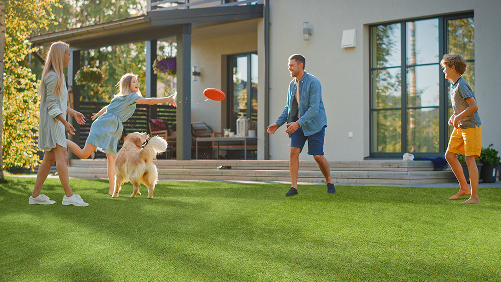 viridian-turf-91-for-pets-and-families