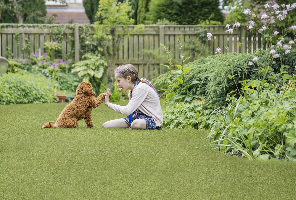 emerald-green-turf-110-2-pet-friendly-lawn