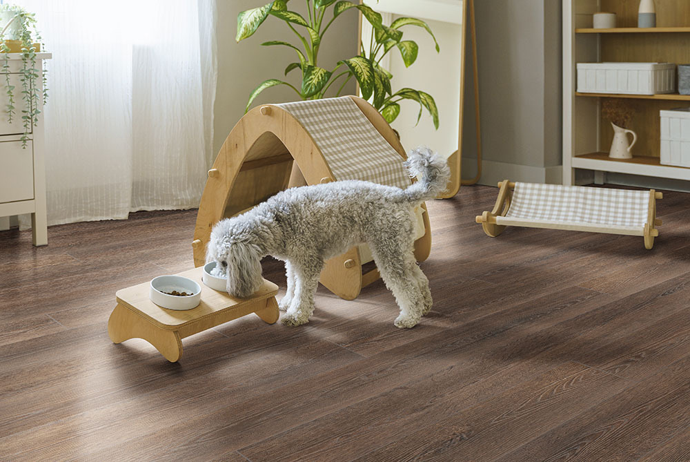 Dog on dark wood-look hybrid rigid core flooring, highlighting a durable flooring option for pet-friendly homes.