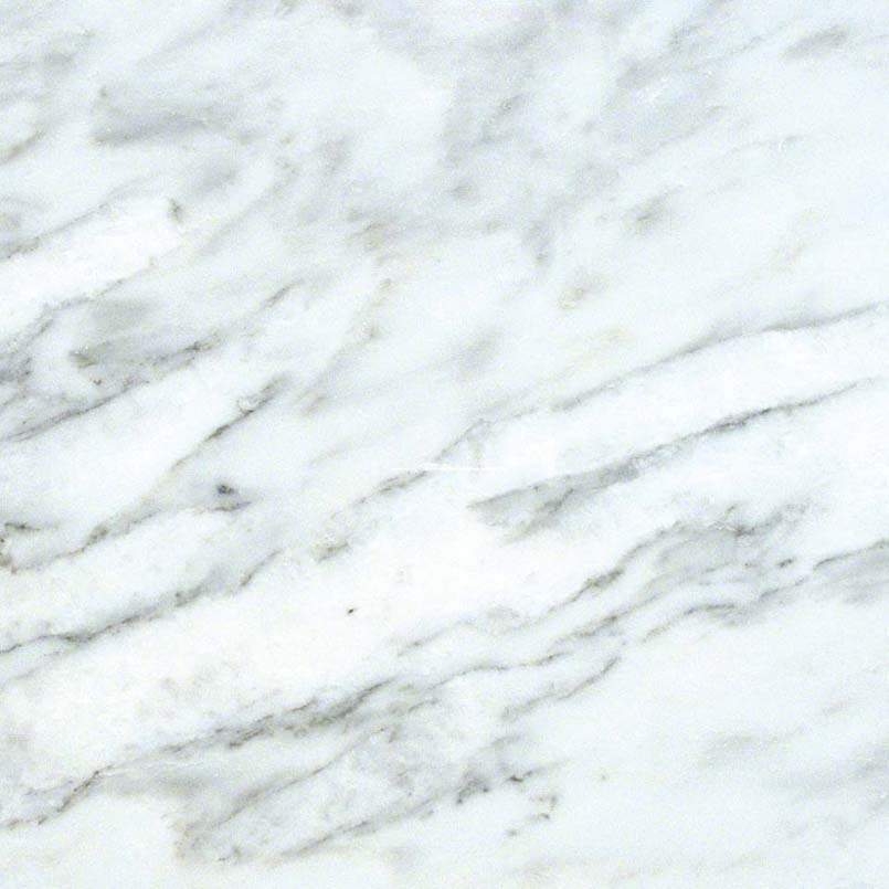 Arabescato Carrara Marble Tile Detail