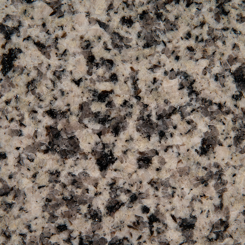 Bohemian Gray Granite Detail