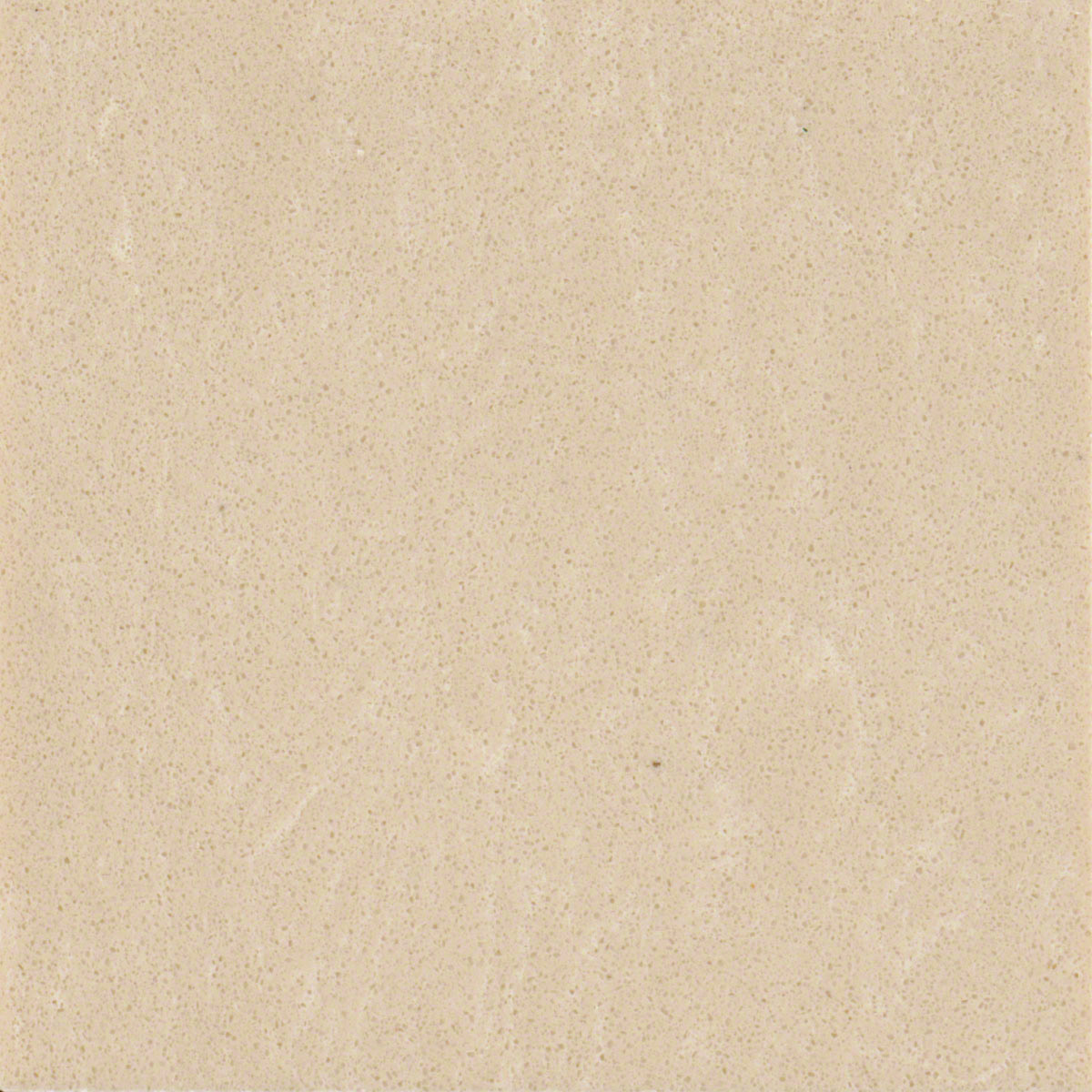 Champagne Limestone Engineered Marble Detail