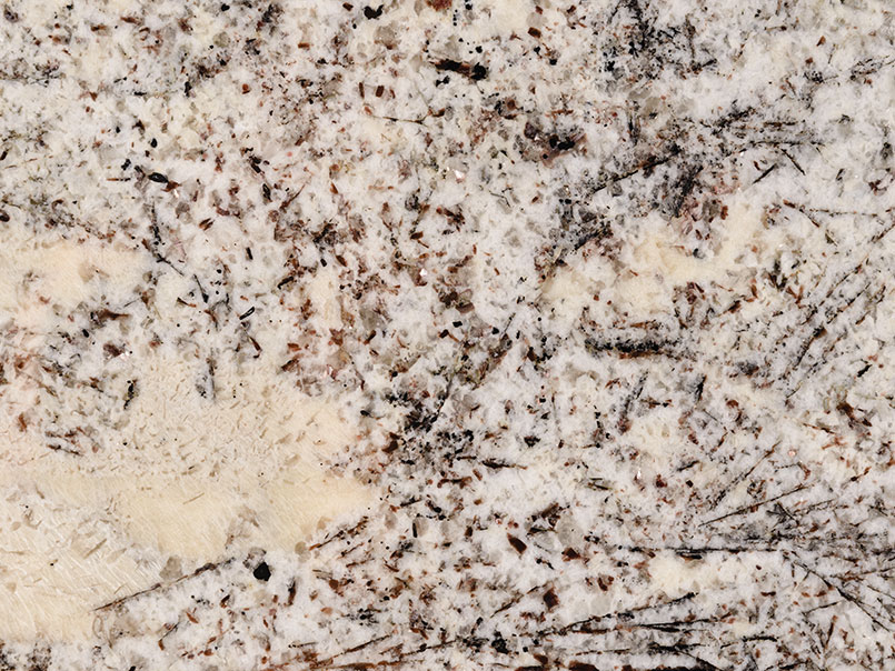 Alps White Granite Close Up