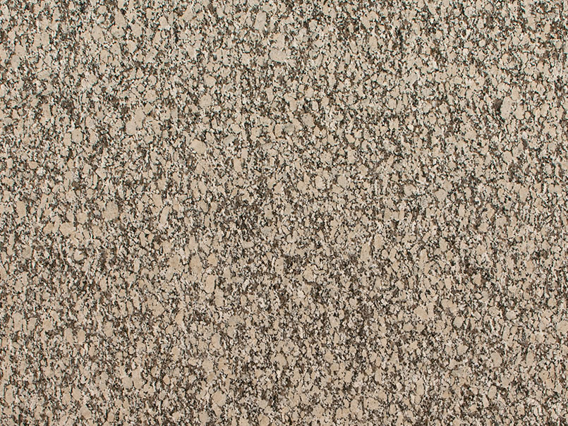 Autumn Beige Granite Close Up