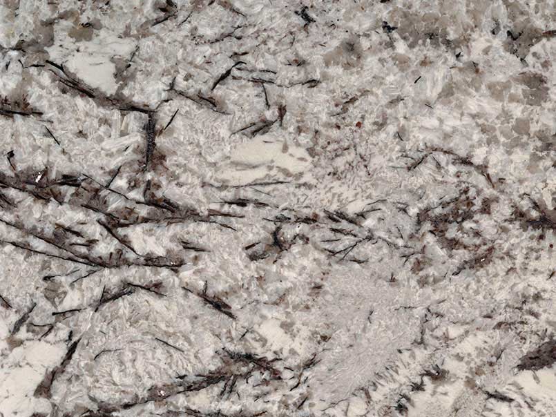 Delicatus White Granite Close Up