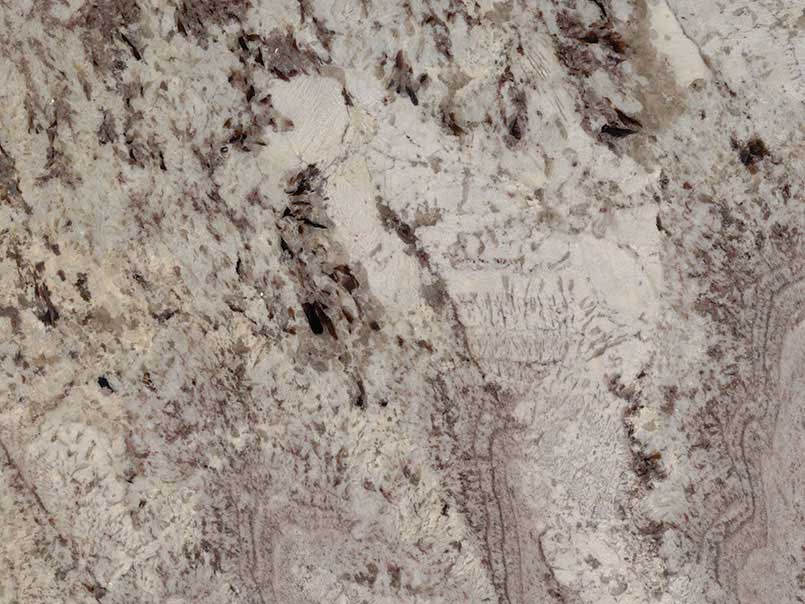 Kalix River Granite Close Up