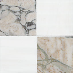 Coronado & Bianco Dolomite Chex 6x6 Hon-Thumb