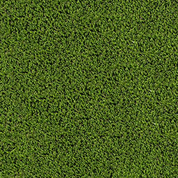 Evergrass™ Emerald Green Turf 110 artificial grass swatch