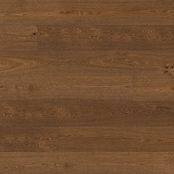 Leander Oak