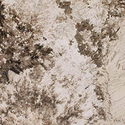 Patagonia Granite Countertop