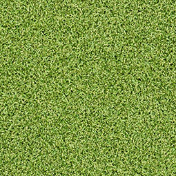 Evergrass™ Putting Green Turf 78 artificial grass swatch