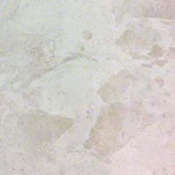 Vanilla - White Tile Tile