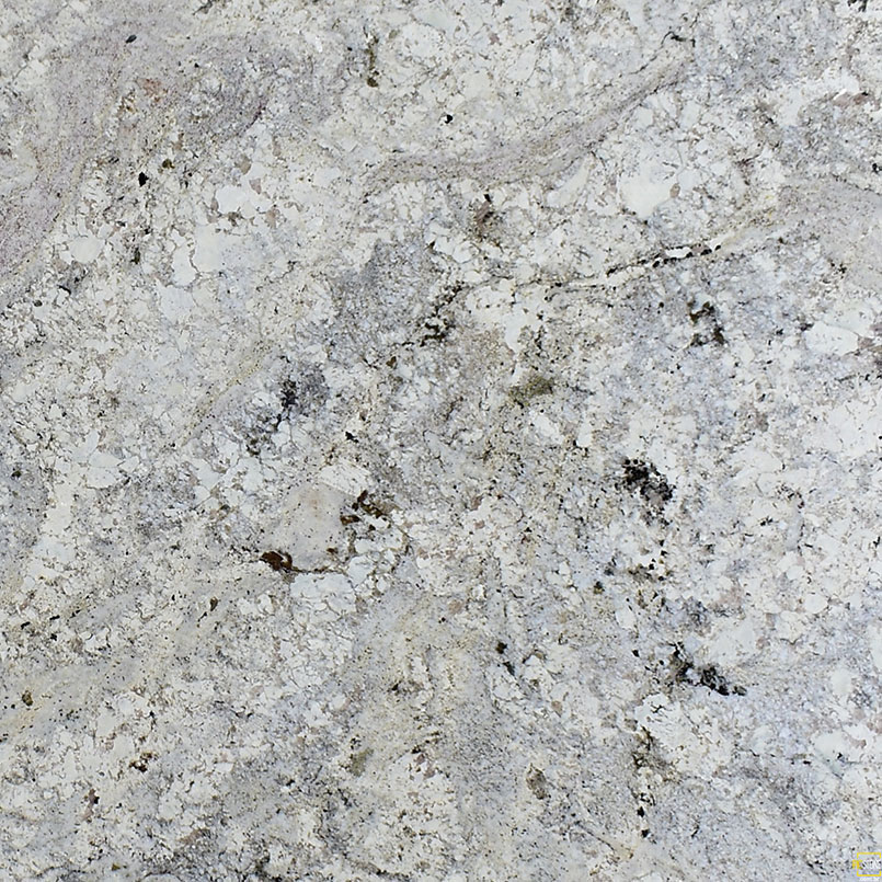 White Paradise Granite Detail