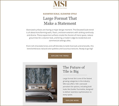 Large Format Tiles Newsletter