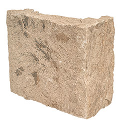 Fossil Rustic Squares And Rectangles