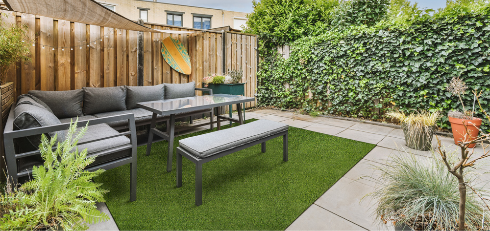 NEW WHAT’S NEW IN EVERGRASS