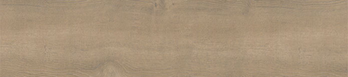 Shorecliffs Brundinson Wood