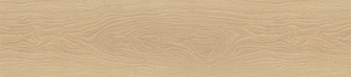 Shorecliffs Houston Trail