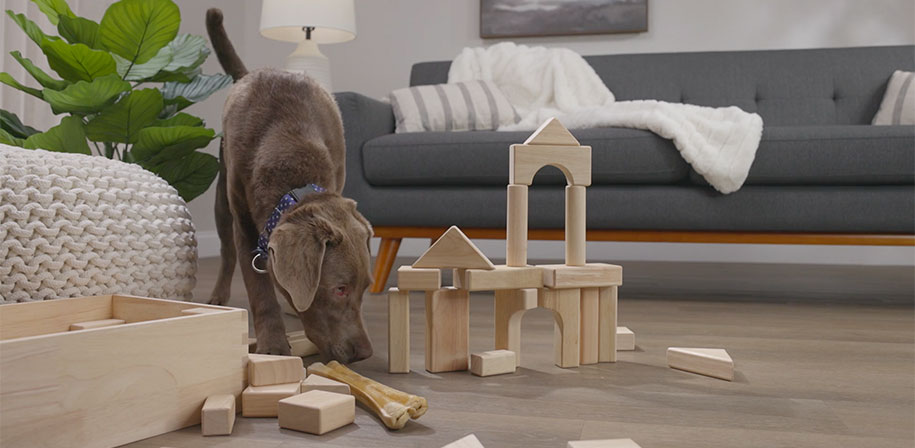 Everlife<sup>®</sup> LVF Pet Friendly Video