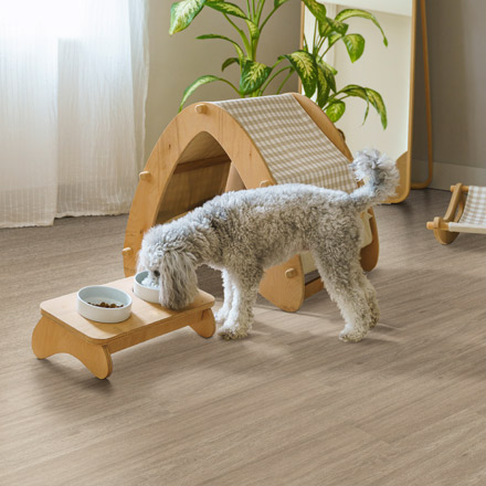 Wilmont LVP Flooring