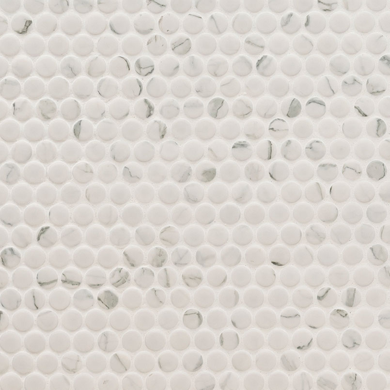 Carrara Matte Penny Round Detail