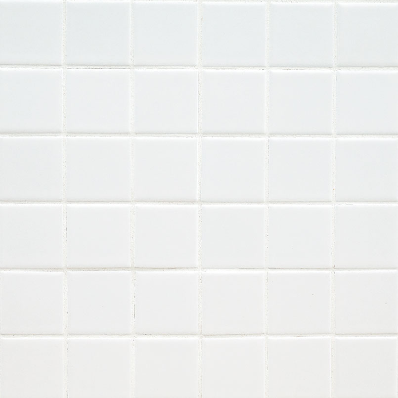 Domino White 2x2 Matte Detail