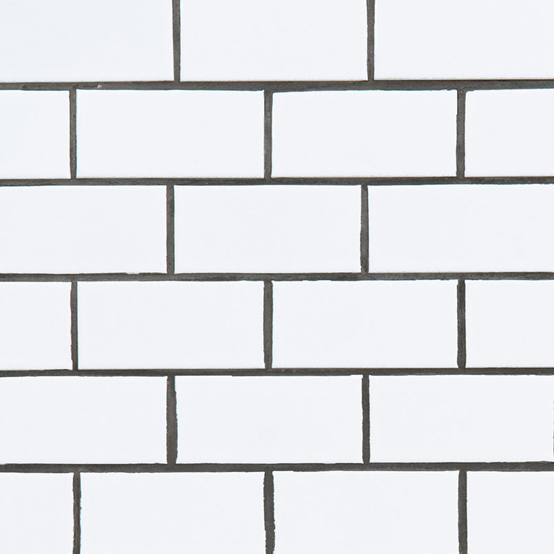 Domino White Subway Tile Detail