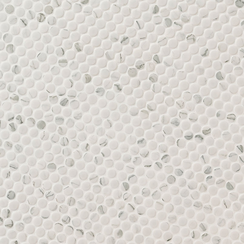 Carrara Matte Penny Round Tile ISO