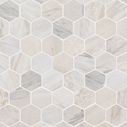 Angora Polished 2" Hexagon Mosaic Tile