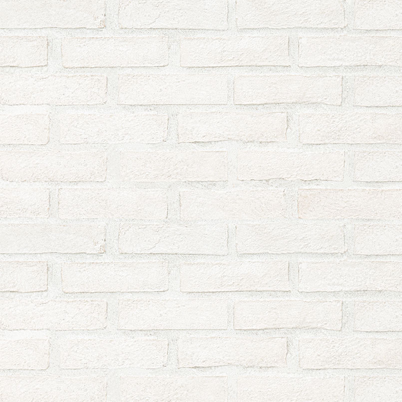 Alpine White Reclaimed Clay Brick Tile Variation