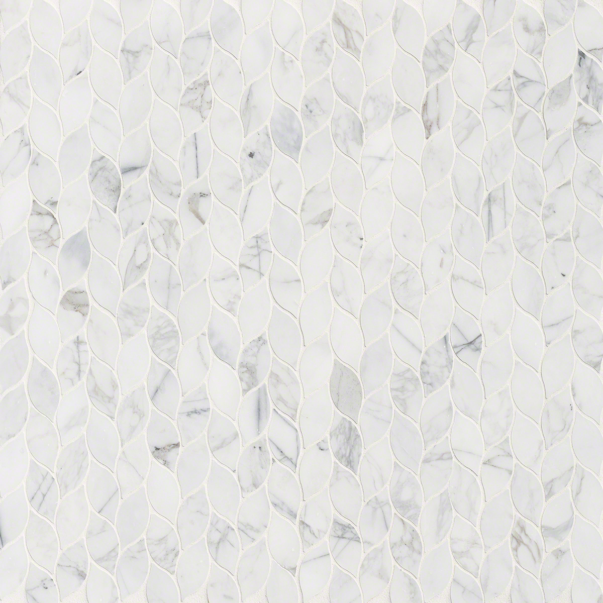 Calacatta Blanco Pattern Polished Variation