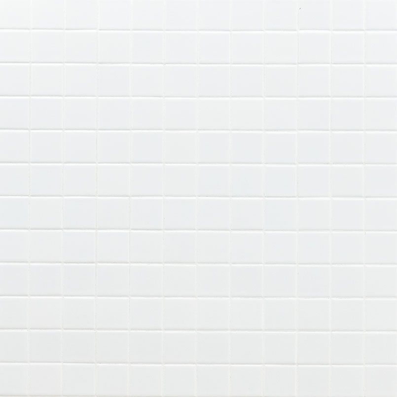 Domino White 2x2 Matte Variation