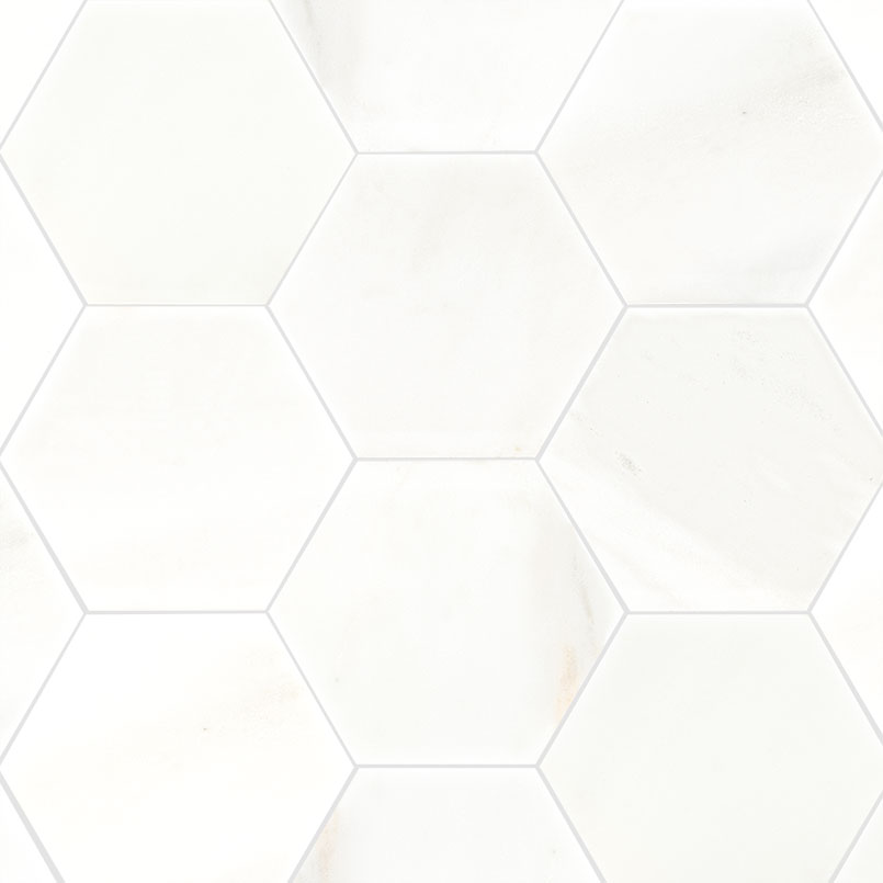 Greecian White 8" Hexagon Polished variation