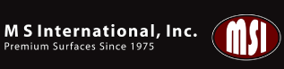 MS International Logo