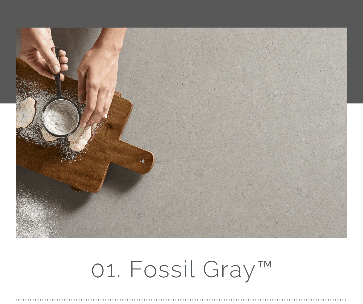 01. Fossil Gray