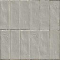 Zest Aloe 2.5x8 thumbnail