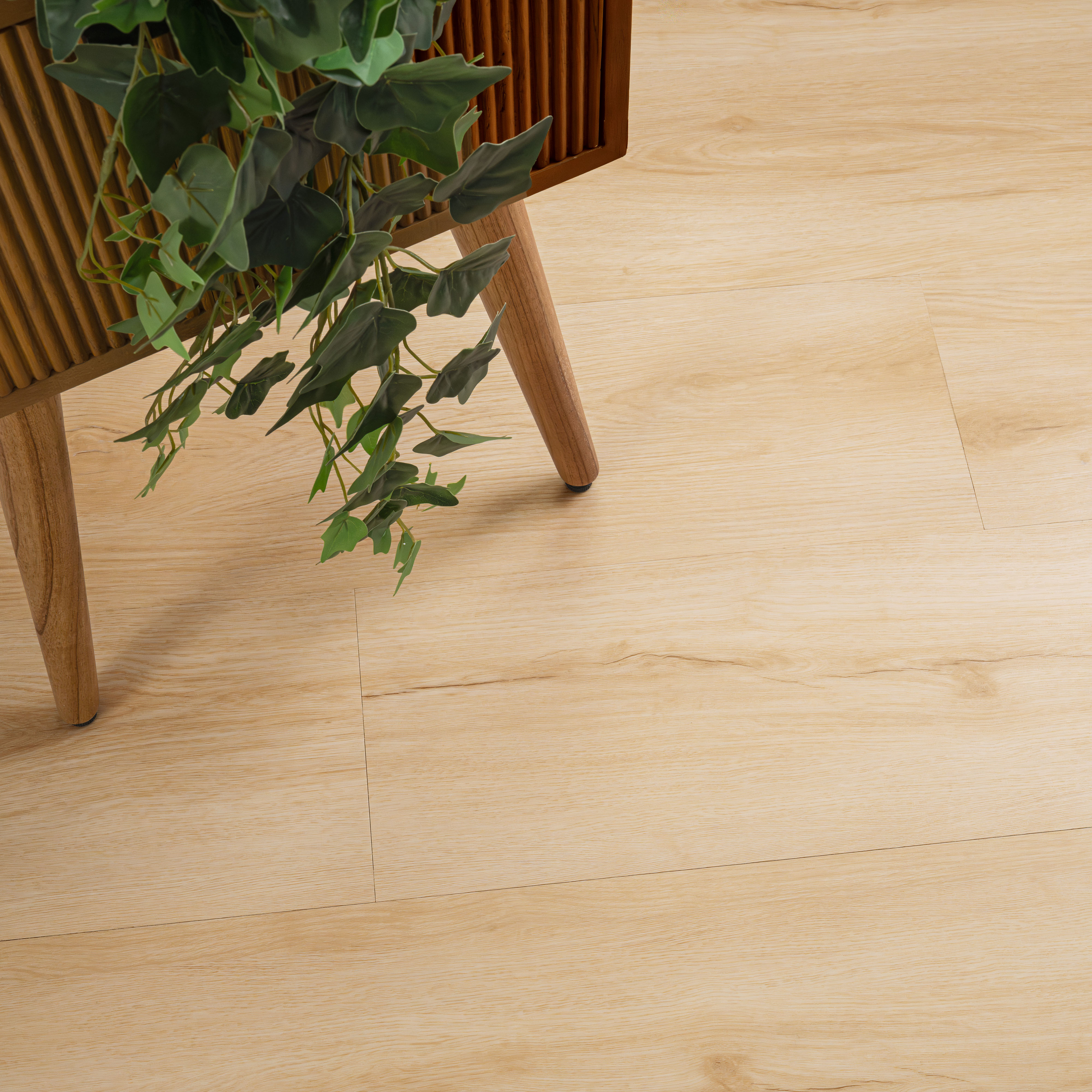 noveplusfallonton022026